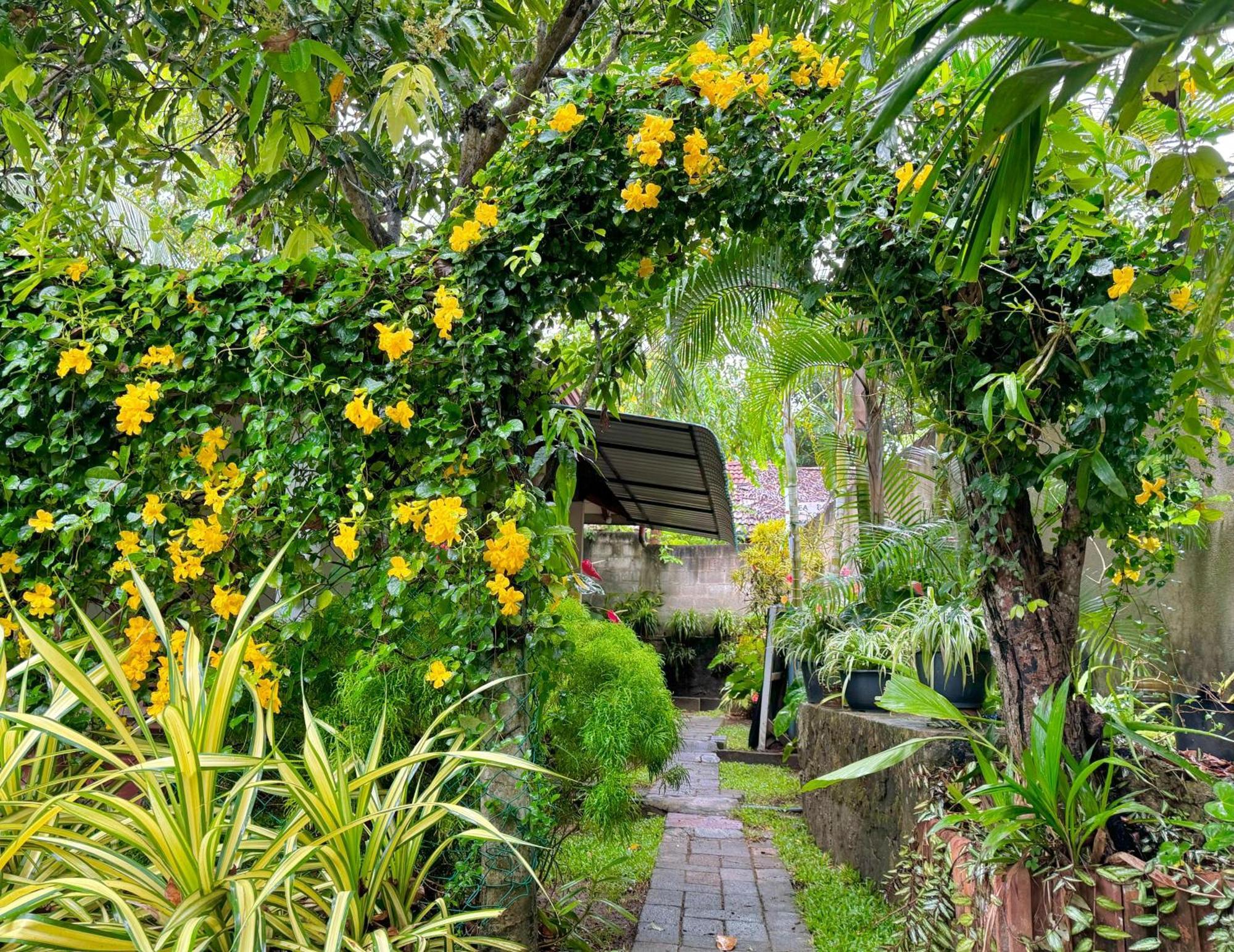 Nethmi Homestay & Restaurant Tangalle Dış mekan fotoğraf