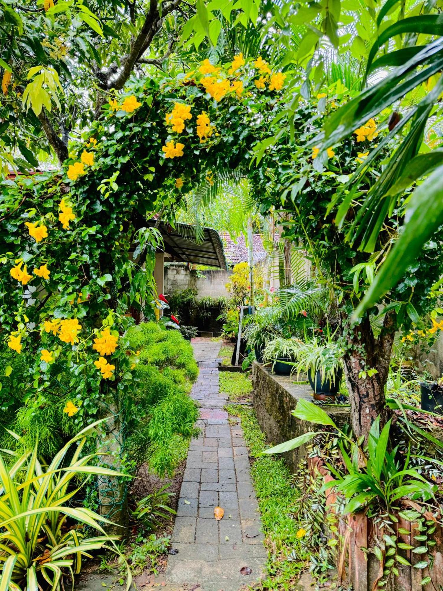 Nethmi Homestay & Restaurant Tangalle Dış mekan fotoğraf