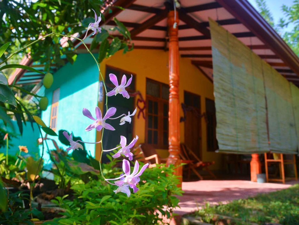 Nethmi Homestay & Restaurant Tangalle Dış mekan fotoğraf
