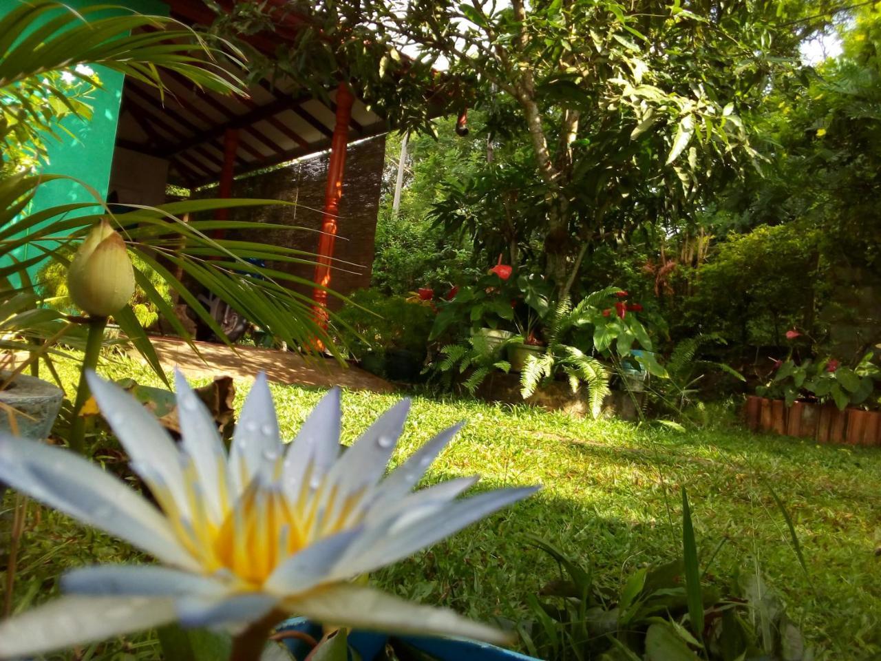 Nethmi Homestay & Restaurant Tangalle Dış mekan fotoğraf