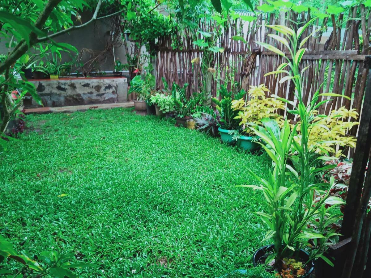 Nethmi Homestay & Restaurant Tangalle Dış mekan fotoğraf